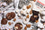 Chocolate Peppermint Sables - Mouth.com