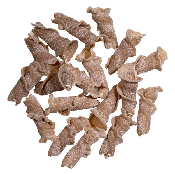 Porcini Pasta Trumpets by Sfoglini Pasta Shop in Brooklyn, New York